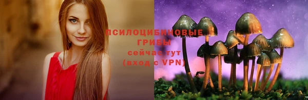 МДПВ Волоколамск