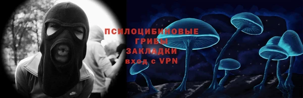 МДПВ Волоколамск