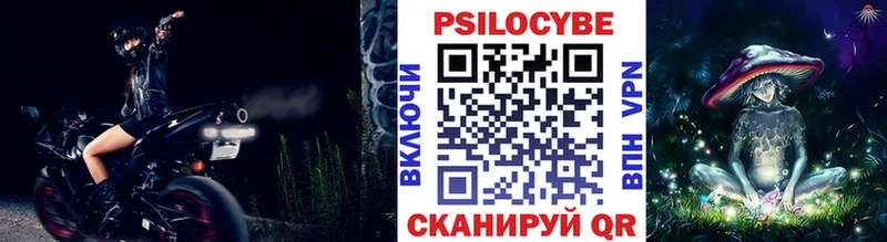 Купить где  Корсаков  Галлюциногенные грибы Psilocybe 